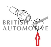 LR153263- krytka šroubu- stříbrná