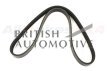 PQS000220- řemen příslušenství 4.4 V8 M62- sekundární