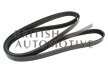 LR190101- řemen příslušenství 5.0 V8 Naturally Aspirated (276kw)